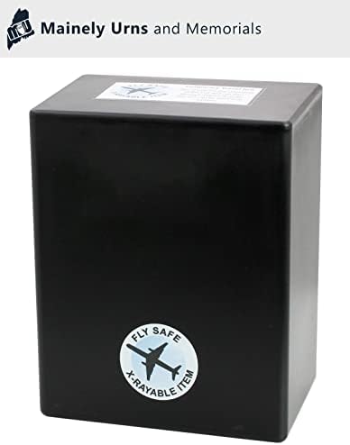 CarrySafe Urn - TSA Approved Travel Cremation Kit