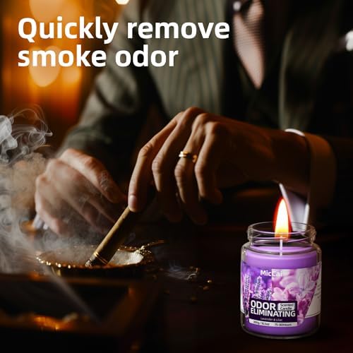 Lavender Lilac Deodorizing Candles for Home