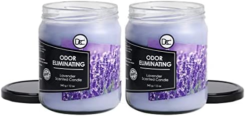 Diannes Custom Lavender 2 Pack Candles