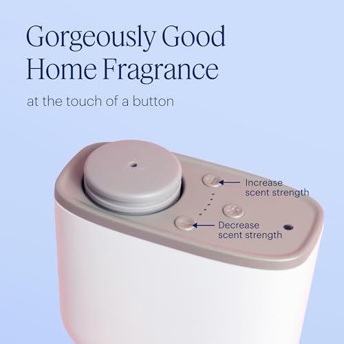 Aera Mini Home Hygiene Essential Oil - Citrus and Clean Laundry Scent