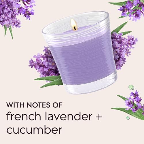 Glade 1-Wick Scented Candle Jar Tranquil Lavender Aloe