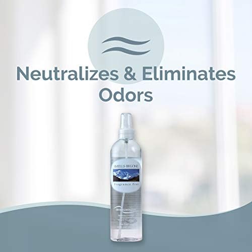 SMELLS BEGONE Air Freshener Spray 12 oz Pack of 2
