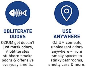 Ozium 45 Oz Odor Eliminating Gel - Outdoor Essence