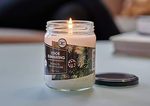 Siberian Fir Odor Eliminating Candle - 80 Hour Burn Time