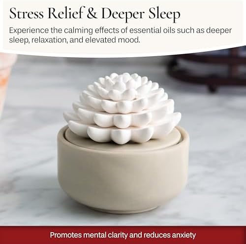 Airom White Succulent Porcelain Diffuser with Peppermint Oil