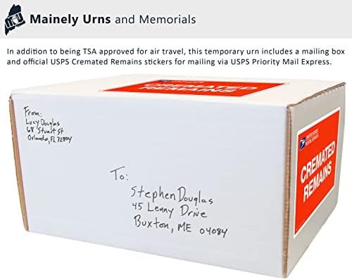 CarrySafe Urn - TSA Approved Travel Cremation Kit
