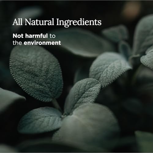 Magnificent 101 Pure Sage Candle - 6 Oz 35 Hour Burn