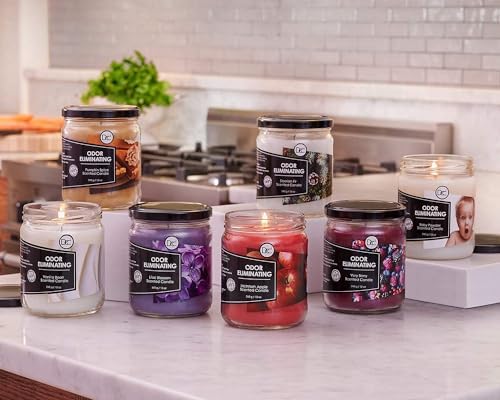 Vanilla Bean Odor Eliminating Candle 12 Ounce
