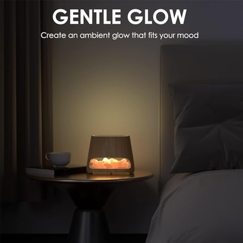 SALKING 2-in-1 Ultrasonic Diffuser with Himalayan Salt Lamp