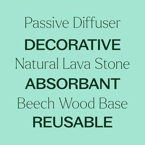 Plant Therapy Lava Rock Passive Diffuser for Aromatherapy