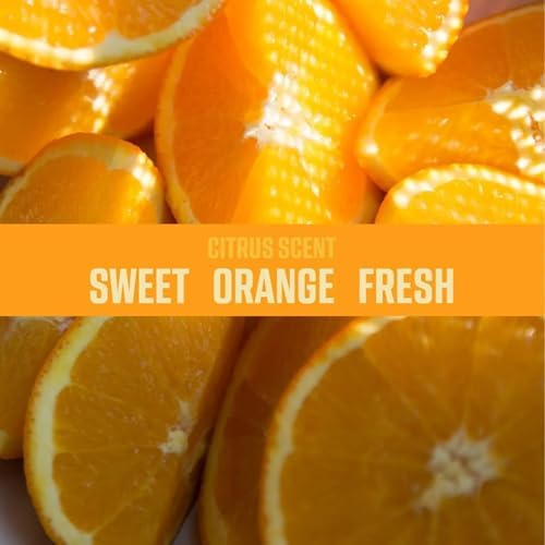 Ozium 08 Oz Air Sanitizer Spray Pack of 3 Citrus