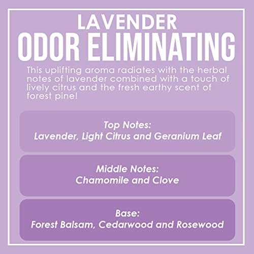Diannes Custom Lavender 2 Pack Candles