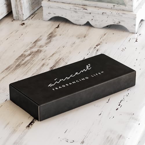 Air-Scent Luxury Fragrance Oil Gift Set - 10 mL