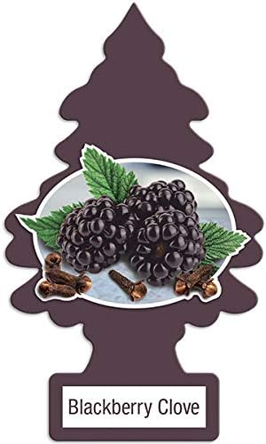 LITTLE TREES Car Air Freshener Hanging Paper Tree Blackberry Clove Pack of 24