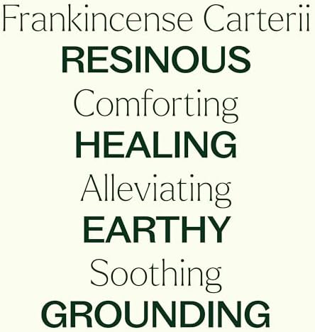 Plant Therapy Frankincense Carterii Essential Oil 100 mL