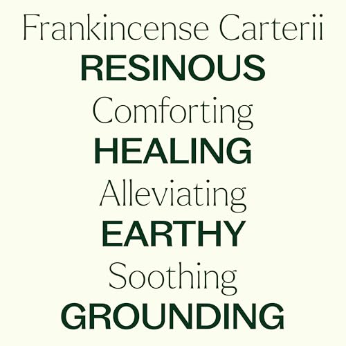 Plant Therapy Frankincense Carteri Essential Oil 30 mL
