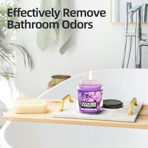 Lavender Lilac Deodorizing Candles for Home