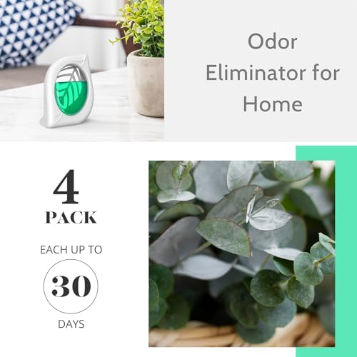 Clean-n-Fresh Air Freshener 4 Pack Eucalyptus Mint