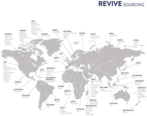 Frankincense Essential Oil 10mL by ReviveEO - Pure Therapeutic Aromatherapy