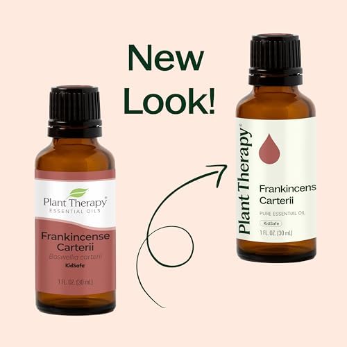 Plant Therapy Frankincense Carterii Essential Oil 100 mL