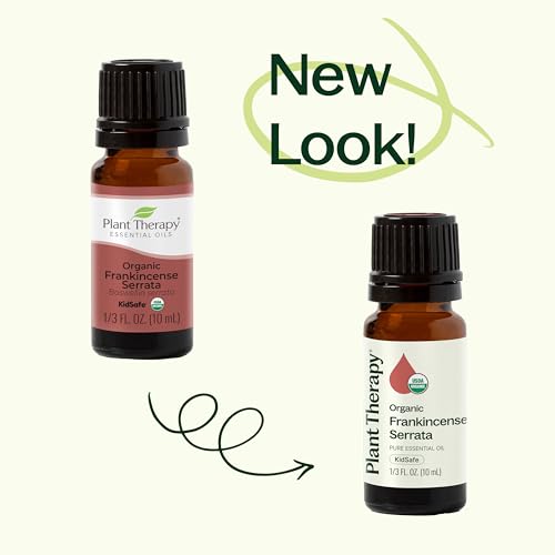 Plant Therapy Organic Frankincense Serrata Essential Oil 100 mL