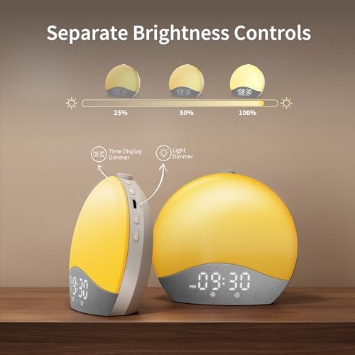 EASYERA Sunrise Alarm Clock with Sound and Light