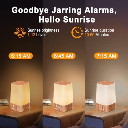 Sunrise Alarm Clock with Nature Sounds and Sleep Timer
