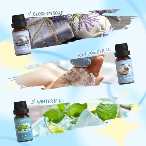 Salubrito Clean Fragrance Oils Set 6x10ml