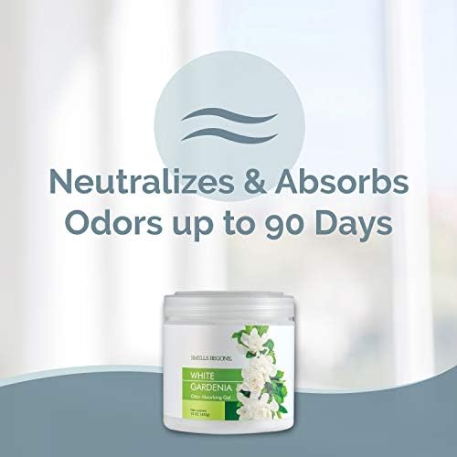 SMELLS BEGONE Odor Absorber Gel - 15 oz Pack of 2