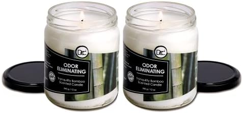 Bamboo Two Pack Odor Eliminating Candles