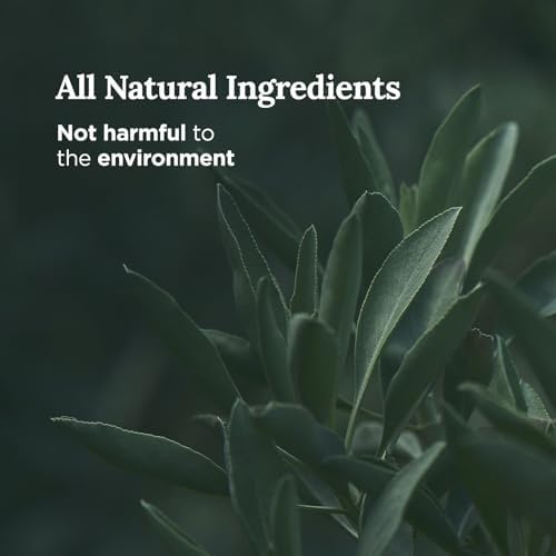 Magnificent 101 Pure Sage Smudge Candle 6 Oz