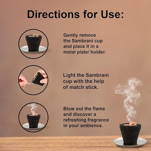 Shubhkart 12 Pcs Premium Sambrani Dhoop Cup Black