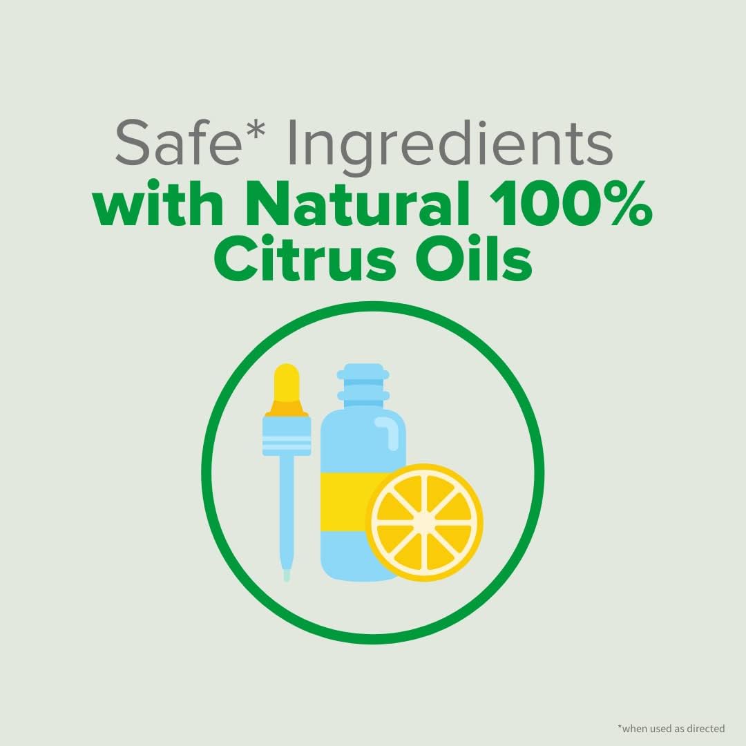 Citrus Magic Odor Eliminating Air Freshener Spray Pack of 3