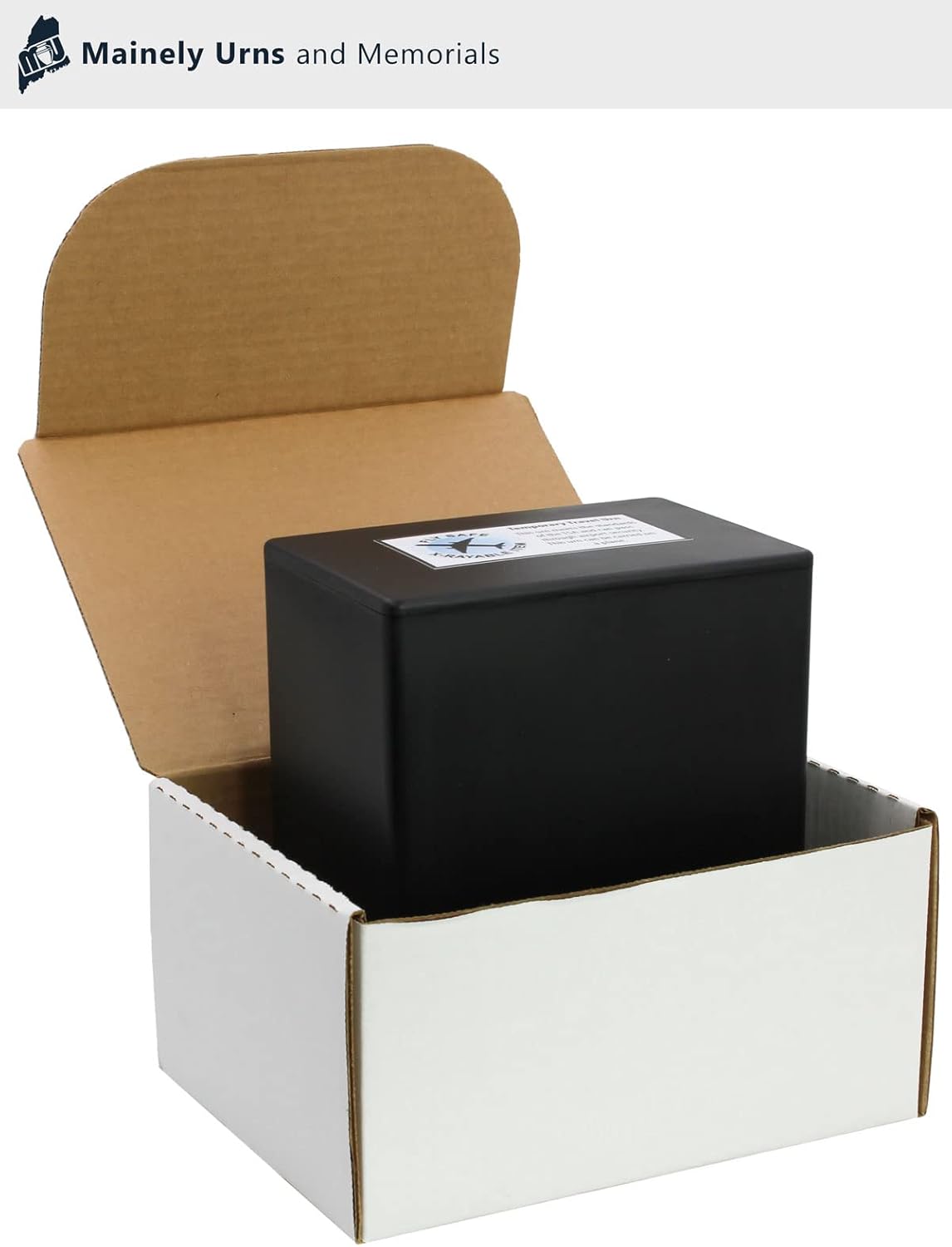 CarrySafe Urn - TSA Approved Travel Cremation Kit