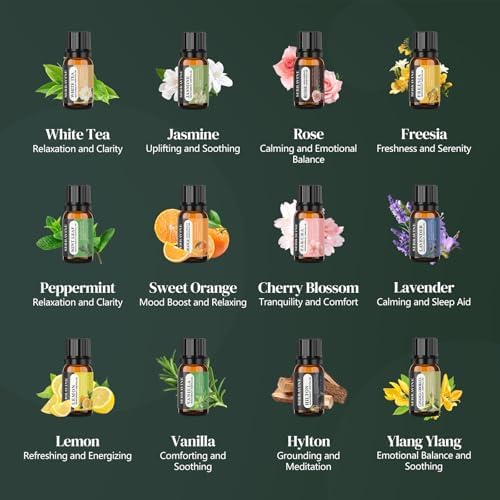 Serravine 12 Essential Oils Set for Diffusers