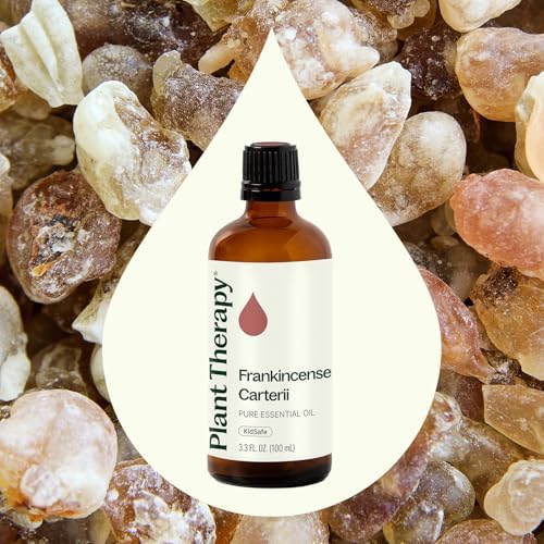 Plant Therapy Frankincense Carterii Essential Oil 100 mL