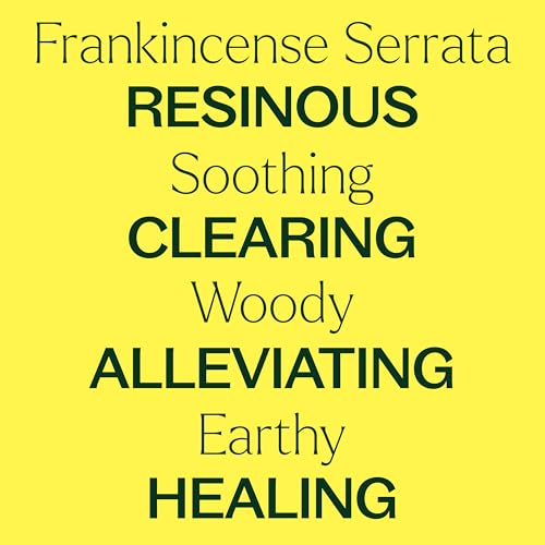 Plant Therapy Organic Frankincense Serrata Essential Oil 100 mL