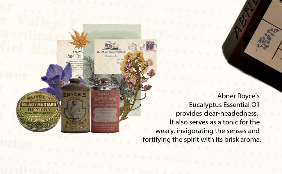 Abner Royce 100 Pure Eucalyptus Essential Oil 60ml