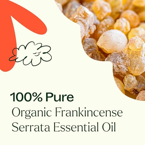 Plant Therapy Organic Frankincense Serrata Essential Oil 100 mL