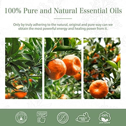 PHATOIL 338 Fl Oz Tangerine Essential Oil 100ML Bottle