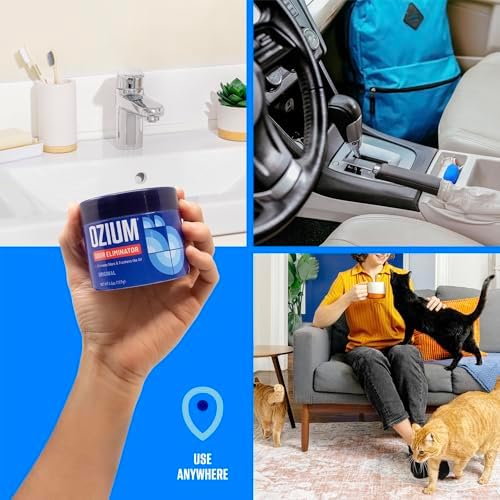 Ozium 45 Oz Odor Eliminating Gel 4 Pack