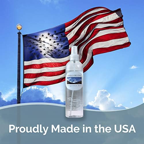 SMELLS BEGONE Air Freshener Spray 12 oz Pack of 2