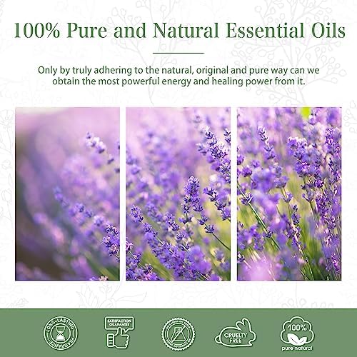 Lavender Essential Oil 100ml for Aromatherapy and DIY Projects