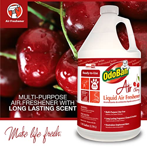 OdoBan Professional Series Air Freshener 1 Gallon Cherry Scent