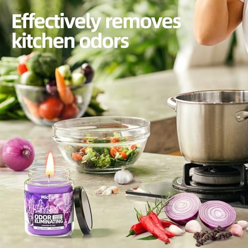Lavender Lilac Deodorizing Candles for Home