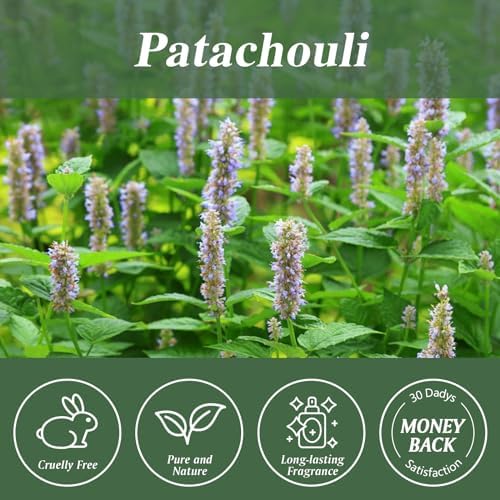 Aeshory Patachouli Essential Oil 338 FL OZ