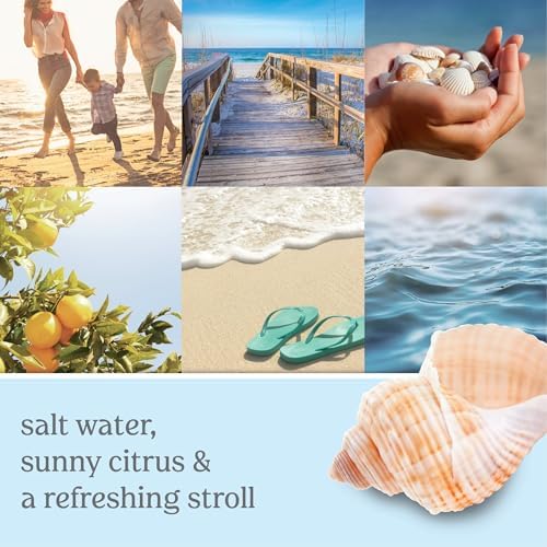 Yankee Candle Beach Walk Scent Plug Refills Pack of 4