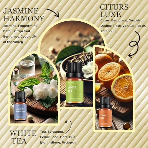 Premium Hotel Fragrance Oil Set for Diffusers - 6x10ml