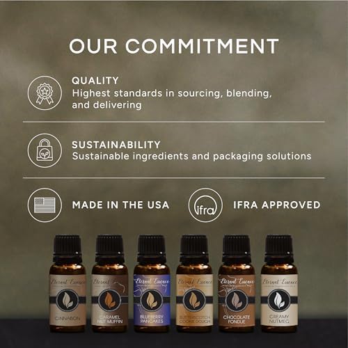 Top 6 Faves - 6 Premium Fragrance Oils - 10ML Gift Set