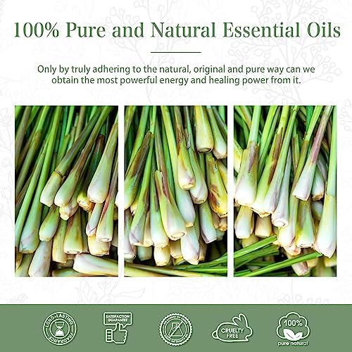 PHATOIL 100ML Citronella Essential Oil for Diffusers and DIY Projects